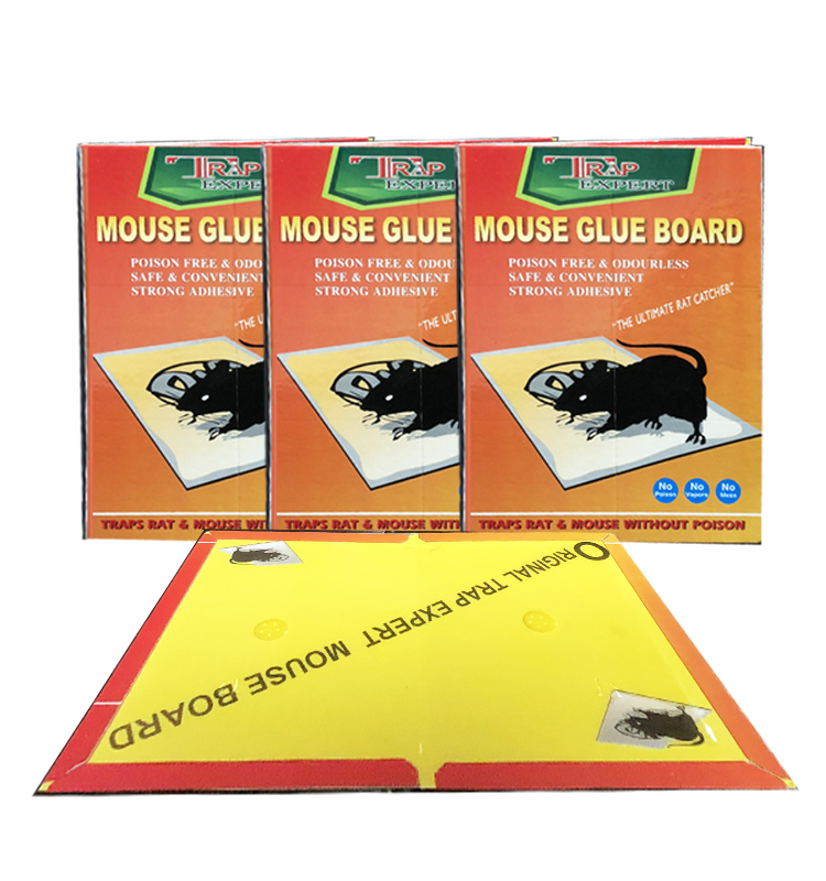Manufacturer wholesale orange sticky mouse board mouse glue mouse stick mouse trap mouse trap Manufacturer wholesale orange sticky mouse board mouse glue mouse stick mouse trap mouse trap