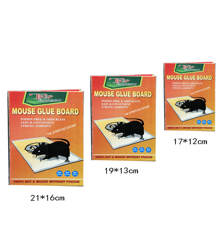 Manufacturer wholesale orange sticky mouse board mouse glue mouse stick mouse trap mouse trap Manufacturer wholesale orange sticky mouse board mouse glue mouse stick mouse trap mouse trap