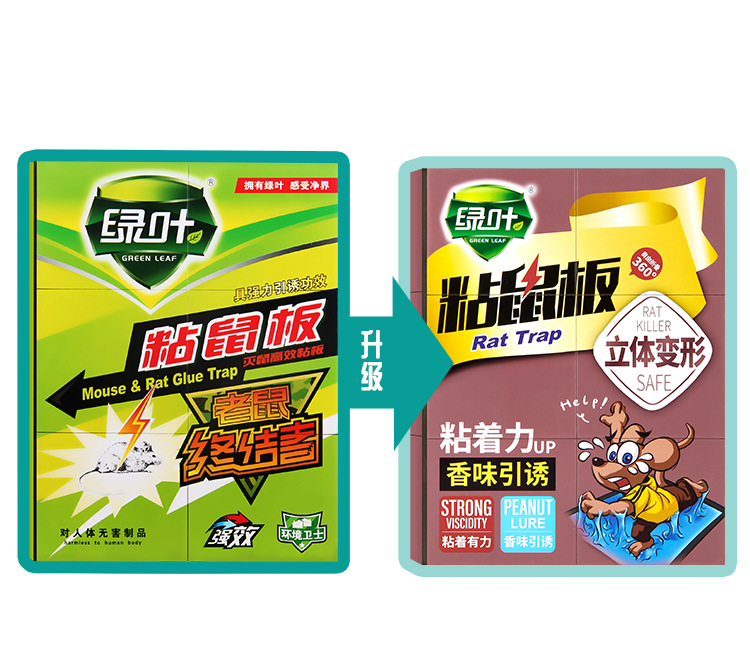 Green Leaf GL1001 Mouse Sticker Ultra-Strong Mousetrap Mouse Sticker Mouse Trap Rat Trapping 02105 The Mousetrap Green Leaf GL1001 Mouse Sticker Ultra-Strong Mousetrap Mouse Sticker Mouse Trap Rat Trapping 02105 The Mousetrap
