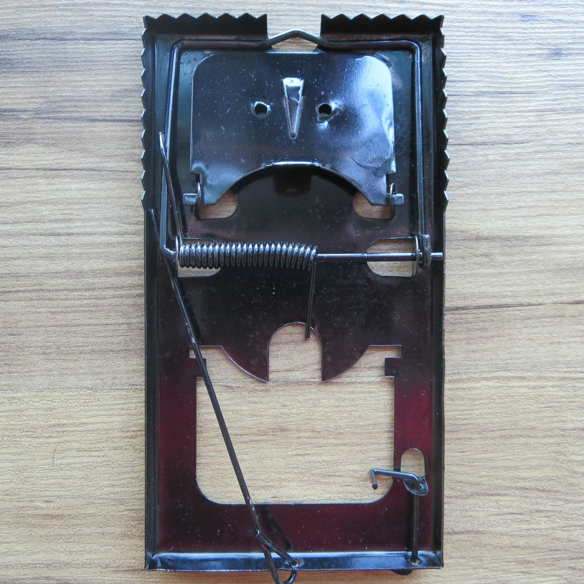 Double Spring Iron Mouse Trap Mousetrap Mouse Trap 2 Pcs/Box Double Spring Iron Mouse Trap Mousetrap Mouse Trap 2 Pcs/Box