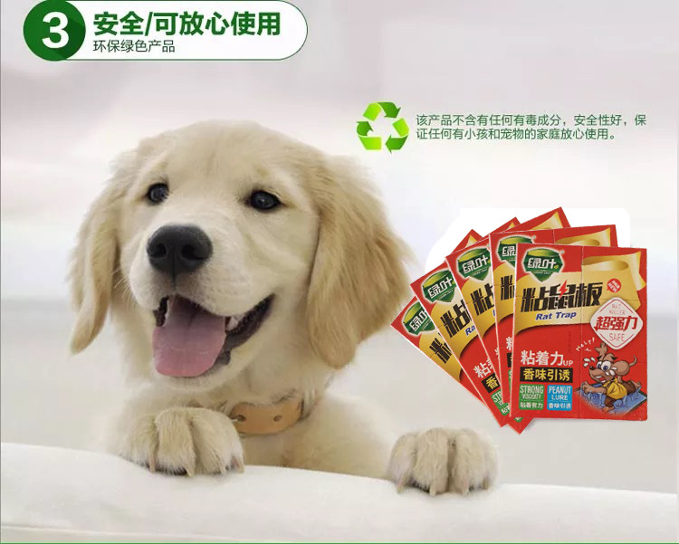 Green Leaf Gl02112 Hardcover Super Strong Mouse Sticker Mouse TRAP Mouse TRAP Mouse Glue Household Mouse Green Leaf Gl02112 Hardcover Super Strong Mouse Sticker Mouse TRAP Mouse TRAP Mouse Glue Household Mouse
