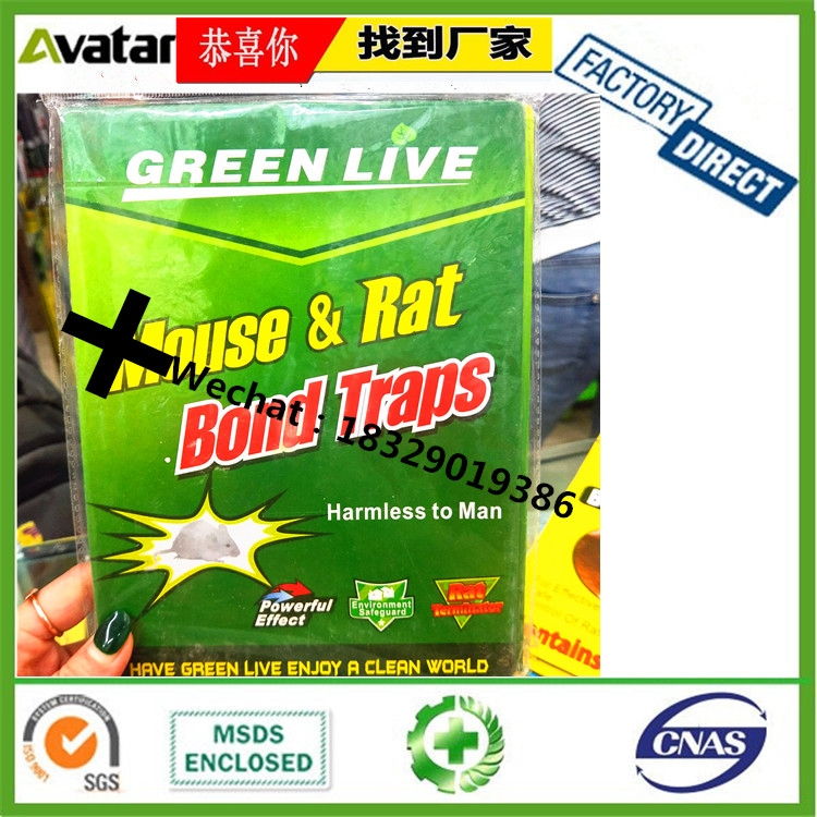 GREEN LIVE trapper Mouse Insect Glue Boards Mouse Trap Rat Glue Board Strong Rodent Catch Plate Mouse Trap Sticky Board 