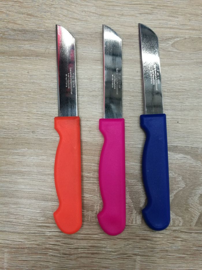 12PCS stainless steel manufacturers selling fruit knife peeler knife 12PCS stainless steel manufacturers selling fruit knife peeler knife