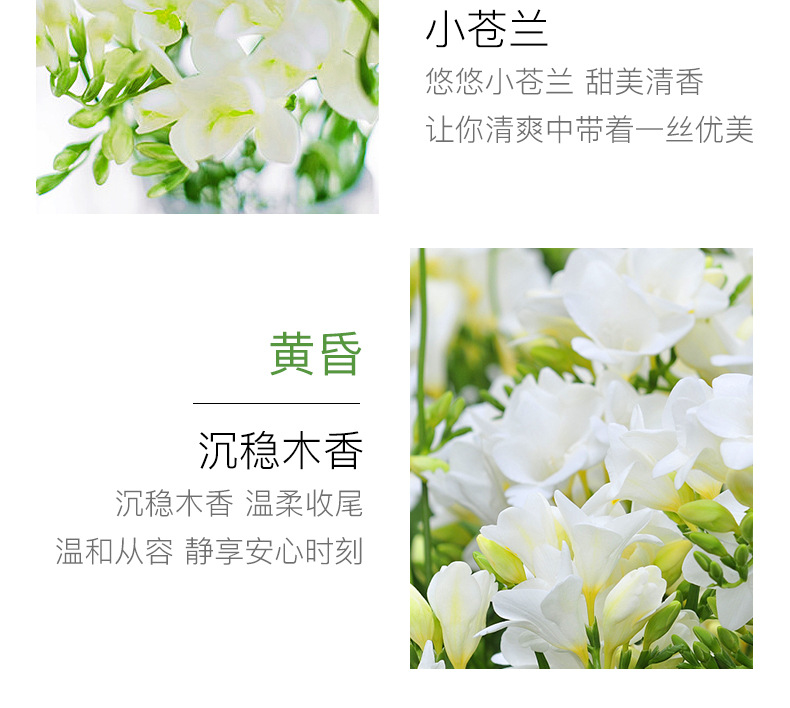Xiaomeitang Elegant Fragrance Shower Gel Tender and Smooth Skin Cleansing Bath Hydrating Moisturizing Nourishing Perfume Body Lotion