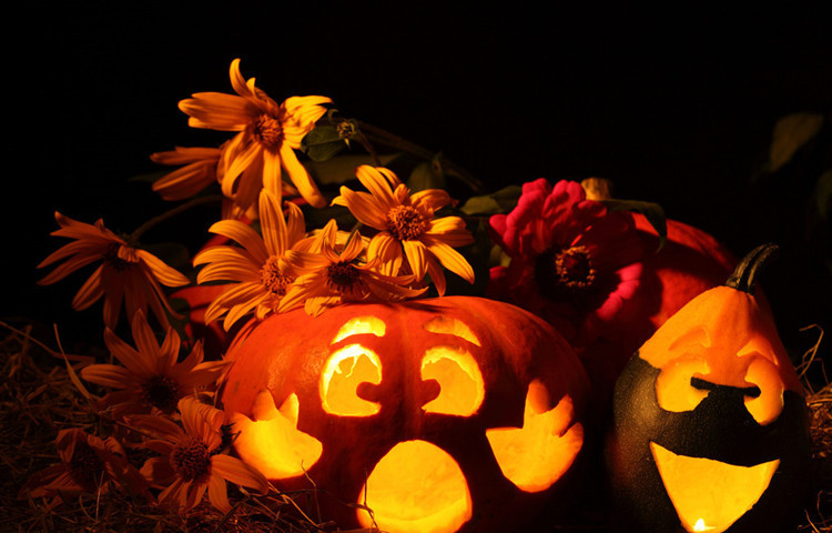 Halloween Pumpkin Lamp Chinese Lantern Pumpkin Bucket Skull Bat Ghost Skull GD Props Spider Dress Up Pendant Halloween Pumpkin Lamp Chinese Lantern Pumpkin Bucket Skull Bat Ghost Skull GD Props Spider Dress Up Pendant