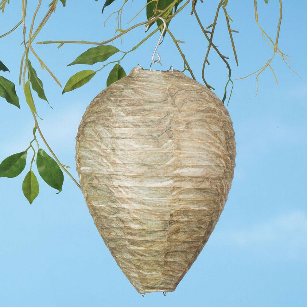 Wasp Guide Chinese Lantern Bee Vortex Chinese Lantern Hanging Drive Bee Bee Trap Drive Hive Lantern