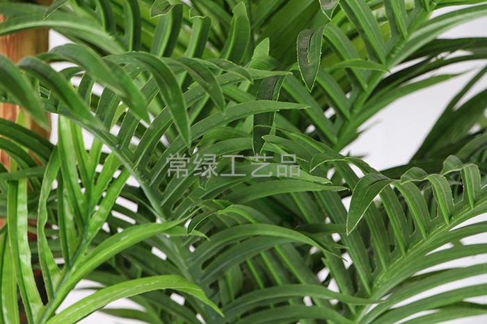 Artificial plants feel heightening par three Cuban Royal Palm tree artificial tree crafts