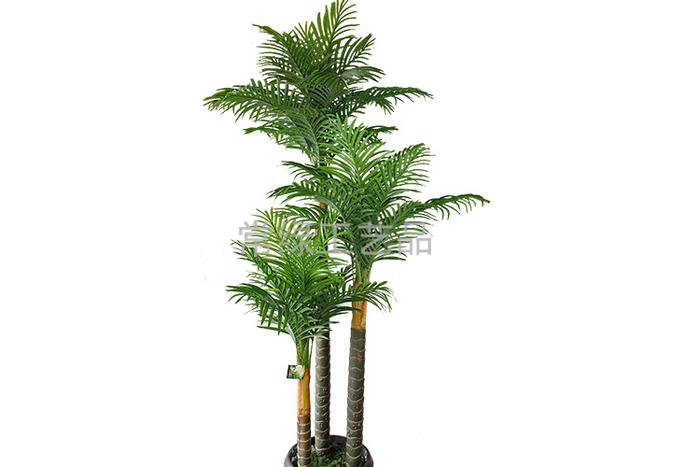 Artificial plants feel heightening par three Cuban Royal Palm tree artificial tree crafts