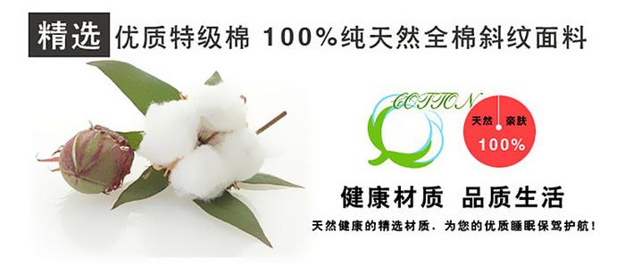 Snow Pigeon 4-pc 5D activity cotton stereoscopic 3 d version painting bedding set manufacturers selling