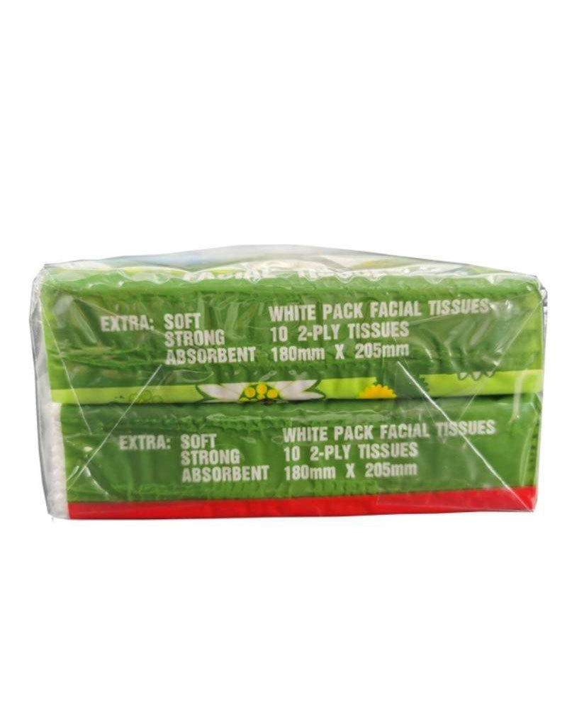 2-Layer 10-Piece Standard Package Foreign Trade Handkerchief Tissue English Tissue Packaging Napkin Portable Tissue Support OEM
