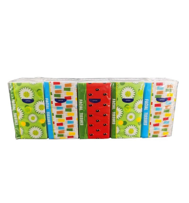 2-Layer 10-Piece Standard Package Foreign Trade Handkerchief Tissue English Tissue Packaging Napkin Portable Tissue Support OEM