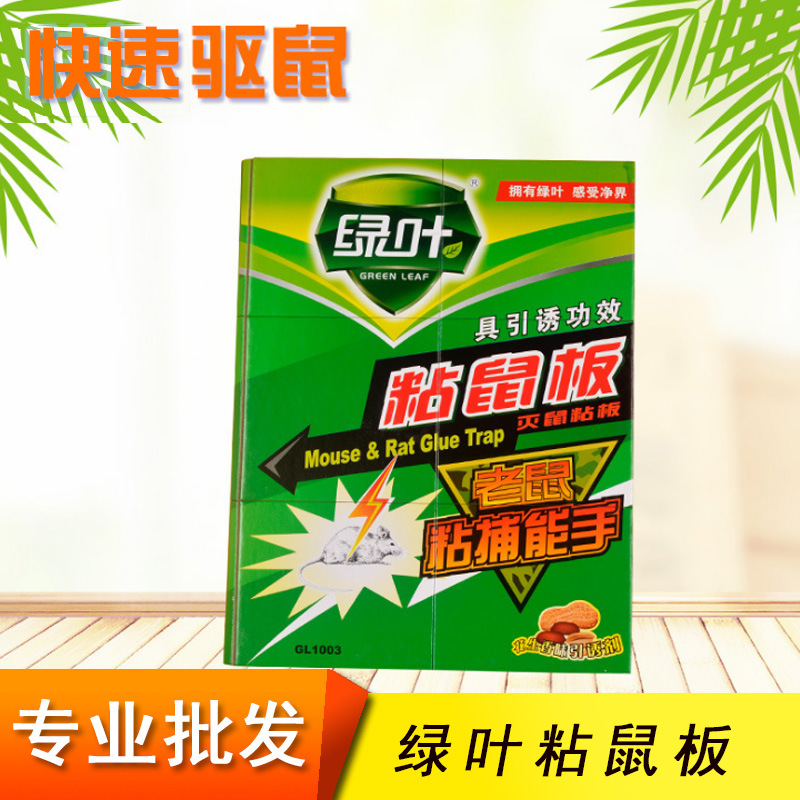 Professional Wholesale Green Leaf Genuine Adhesive Glue Mouse Traps Cockroach Adhesive Fly Trap Sticky Catcher