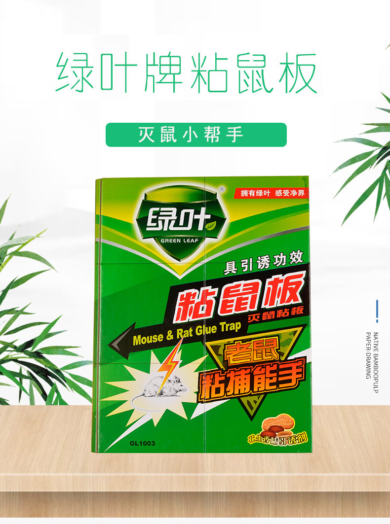 Professional Wholesale Green Leaf Genuine Adhesive Glue Mouse Traps Cockroach Adhesive Fly Trap Sticky Catcher Professional Wholesale Green Leaf Genuine Adhesive Glue Mouse Traps Cockroach Adhesive Fly Trap Sticky Catcher