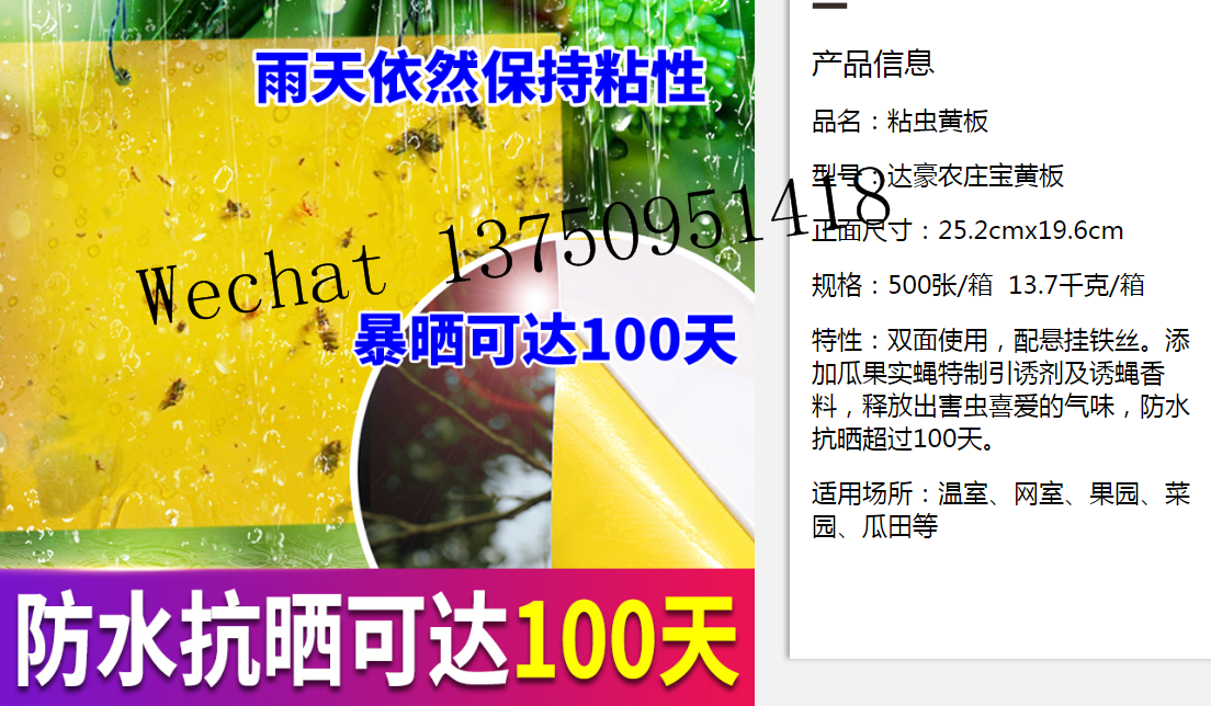 Dahao Amazon Hot Sell Fly Mosquito Insect Catcher Sticky Traps Fruit Fly Gnat Trap Yellow Strong Glue+paper+fly Bait All