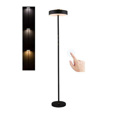 Amazon intelligent floor lamp for LED touch remote control floor chandelier modern and simple lighting