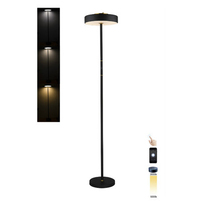 Amazon intelligent floor lamp for LED touch remote control floor chandelier modern and simple lighting