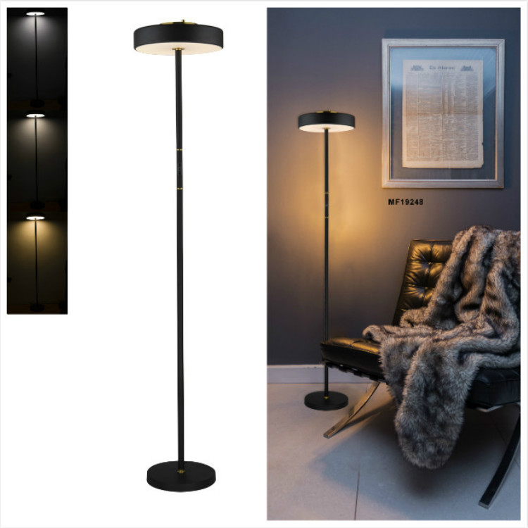 Amazon intelligent floor lamp for LED touch remote control floor chandelier modern and simple lighting