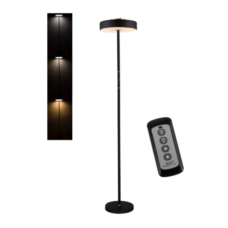Amazon intelligent floor lamp for LED touch remote control floor chandelier modern and simple lighting