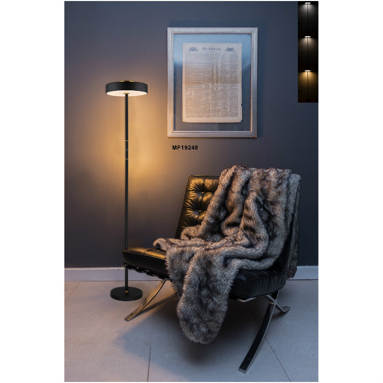 Amazon intelligent floor lamp for LED touch remote control floor chandelier modern and simple lighting