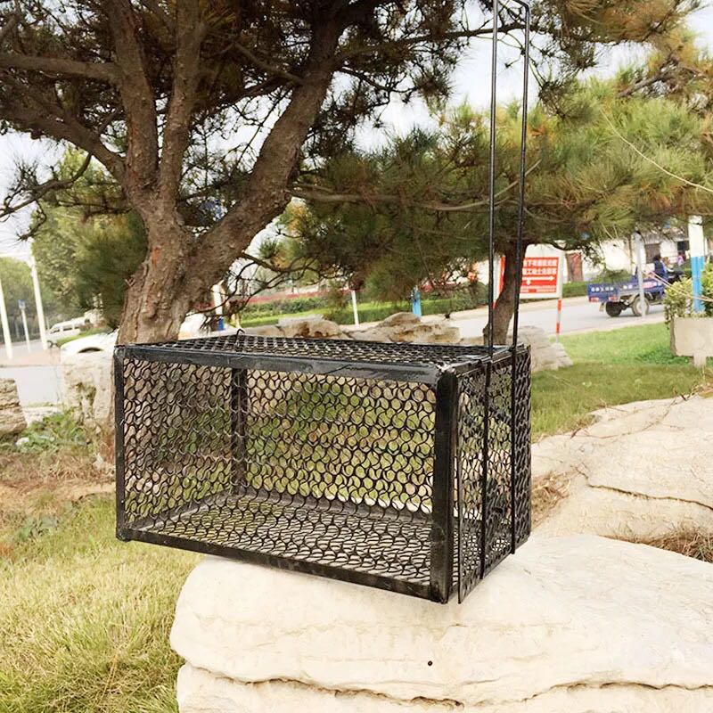 Mousetrap rat cage big and medium size black plastic large simple bite powerful mousetrap. Mousetrap rat cage big and medium size black plastic large simple bite powerful mousetrap.