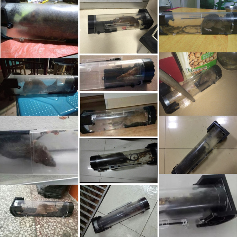 Mousetrap (New Material) Mouse Trap Rat Trap Cage Plastic Rat Trap Cage Mousetrap Mousetrap Mousetrap Equipment Mousetrap (New Material) Mouse Trap Rat Trap Cage Plastic Rat Trap Cage Mousetrap Mousetrap Mousetrap Equipment