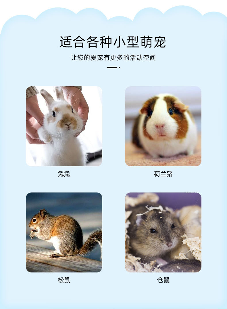 Cang Rat Cage Sub Djungarian Hamster Cage Minipet Panoramic Transparent Rat Cage Hamster Squirrel Pig Fart Mouse Panoramic Basic Cage Cang Rat Cage Sub Djungarian Hamster Cage Minipet Panoramic Transparent Rat Cage Hamster Squirrel Pig Fart Mouse Panoramic Basic Cage