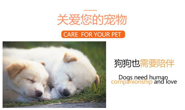 Factory Direct Sales Coasters Heat Insulation Anti-Scald Coaster Non-Slip Stain-Resistant Dog Coasters Cotton String Pet Bowl Pad Coasters Customization