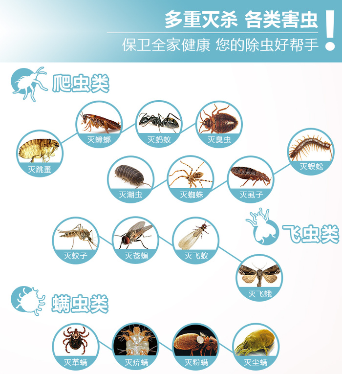 CANYE high quality mosquito killer bedbug tick flea insecticide spray CANYE high quality mosquito killer bedbug tick flea insecticide spray