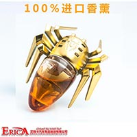 Fire extinguisher fire vehicle 500g automobile vehicle with small fire extinguisher car