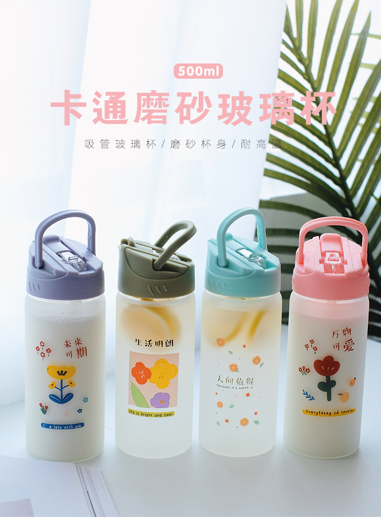 Frosted straw glasses cartoon Drinking Glasses Ins style Straws for students fashion gifts for girls