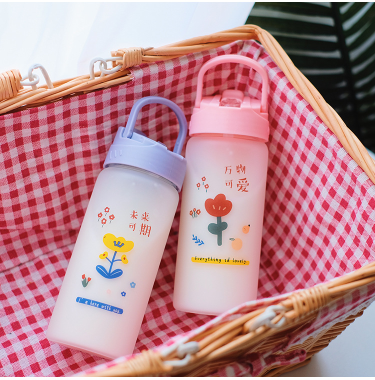 Frosted straw glasses cartoon Drinking Glasses Ins style Straws for students fashion gifts for girls