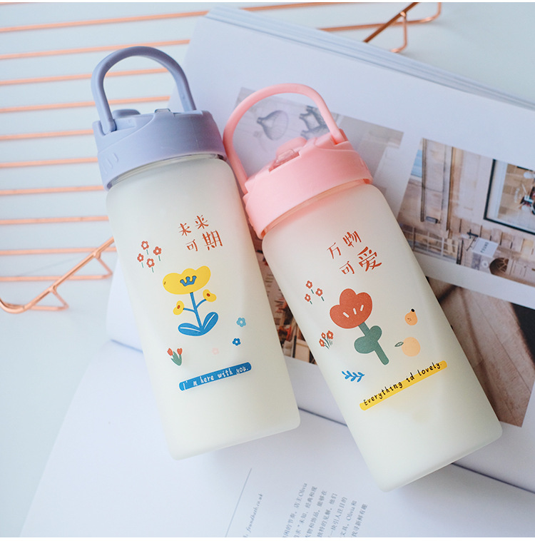 Frosted straw glasses cartoon Drinking Glasses Ins style Straws for students fashion gifts for girls