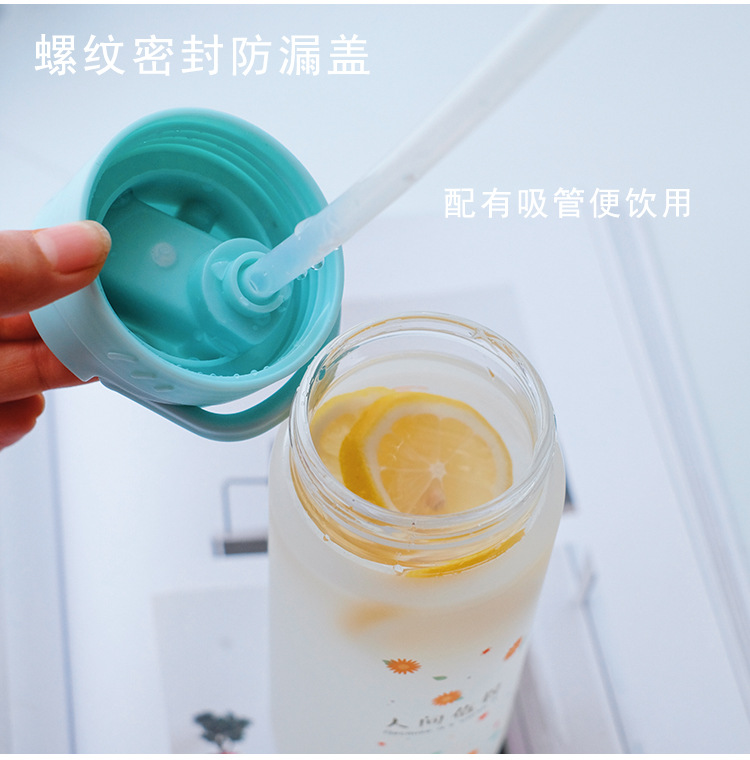 Frosted straw glasses cartoon Drinking Glasses Ins style Straws for students fashion gifts for girls