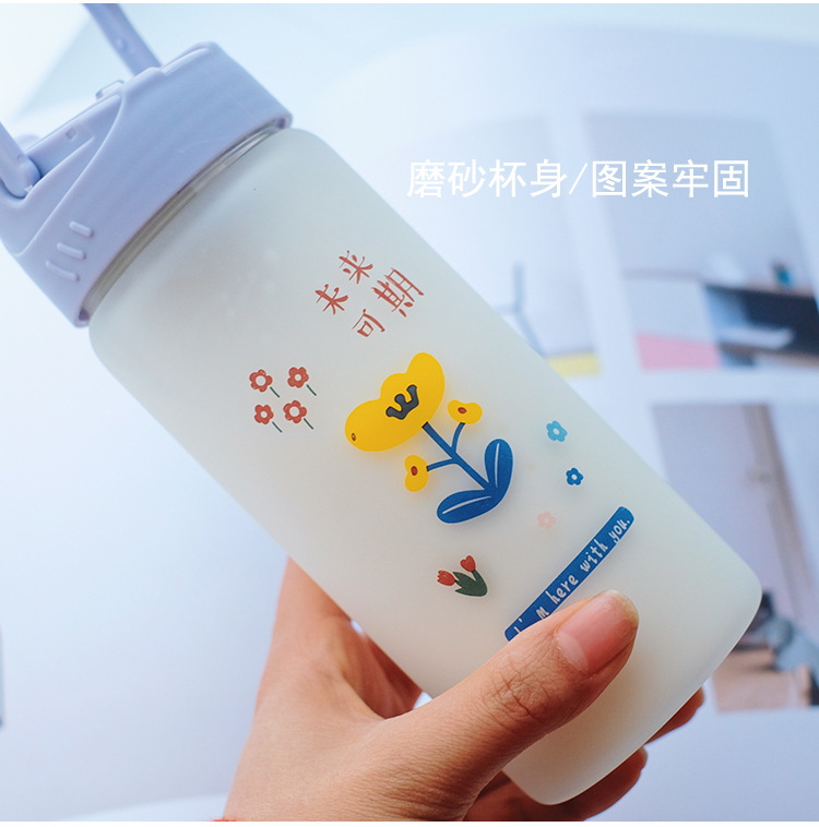 Frosted straw glasses cartoon Drinking Glasses Ins style Straws for students fashion gifts for girls