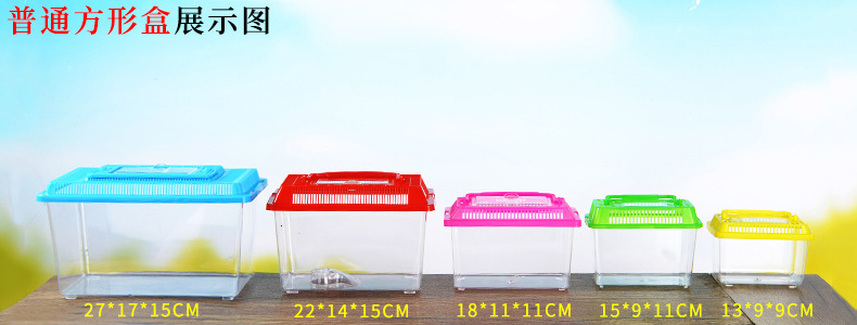 Large, Medium and Small Plastic Turtle Jar Fish Globe Crawler Feeding Pet Box Portable Transparent Transport Box Turtle Box Large, Medium and Small Plastic Turtle Jar Fish Globe Crawler Feeding Pet Box Portable Transparent Transport Box Turtle Box