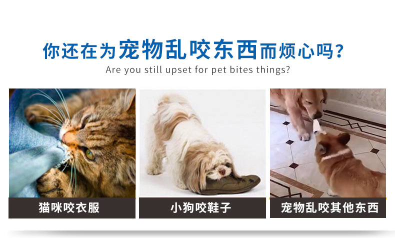 Pet Cat Toy Color Funny Cat Prisoner's Cage Ringing Paper Ball Yizhi Sound Paper Ball Laser Film Interactive Bite Toy Wholesale Pet Cat Toy Color Funny Cat Prisoner's Cage Ringing Paper Ball Yizhi Sound Paper Ball Laser Film Interactive Bite Toy Wholesale