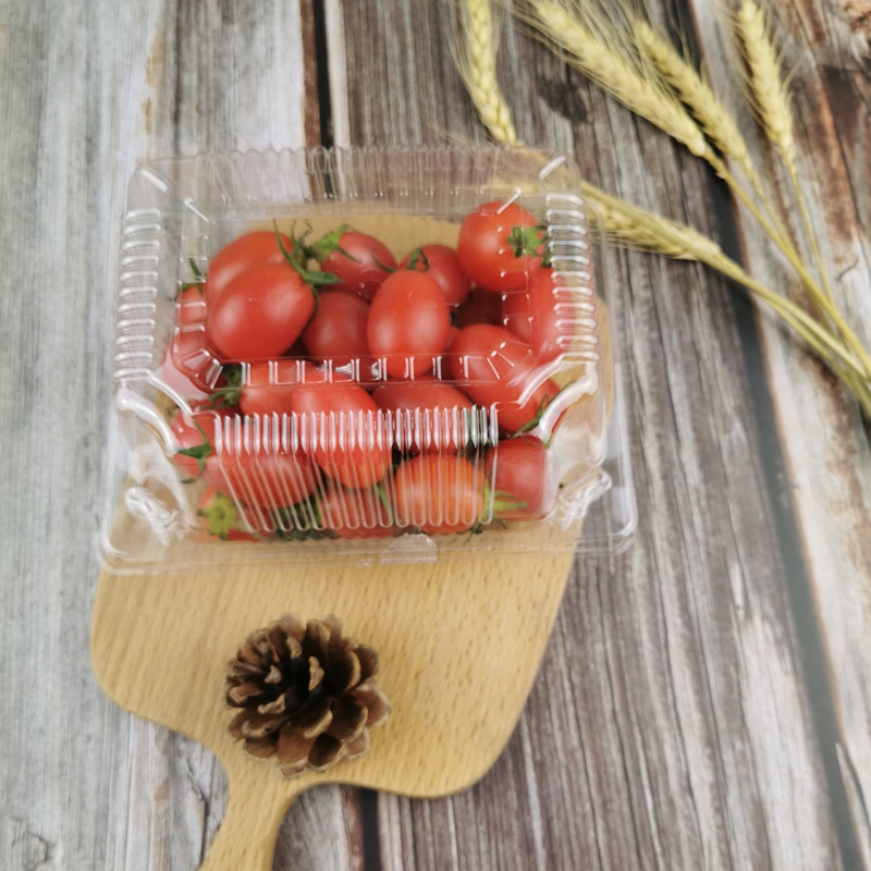 Plastic Cake Box J306 Blister Cake Hamburger Box Transparent Blister Packaging Disposable to-Go Box Plastic Cake Box J306 Blister Cake Hamburger Box Transparent Blister Packaging Disposable to-Go Box