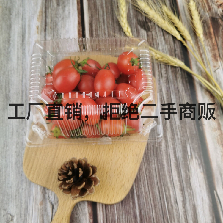 Plastic Cake Box J306 Blister Cake Hamburger Box Transparent Blister Packaging Disposable to-Go Box