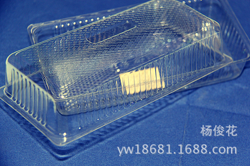 Disposable box with transparent plastic box rectangular shallow plastic boxes Disposable box with transparent plastic box rectangular shallow plastic boxes