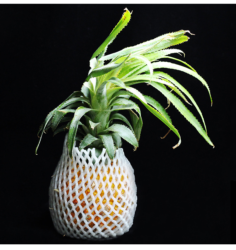 Fruit Plastic Net Cover Apple Pear Egg Macaque Peach Shockproof Foam Packaging Strawberry Thickened Protection Mesh Bag