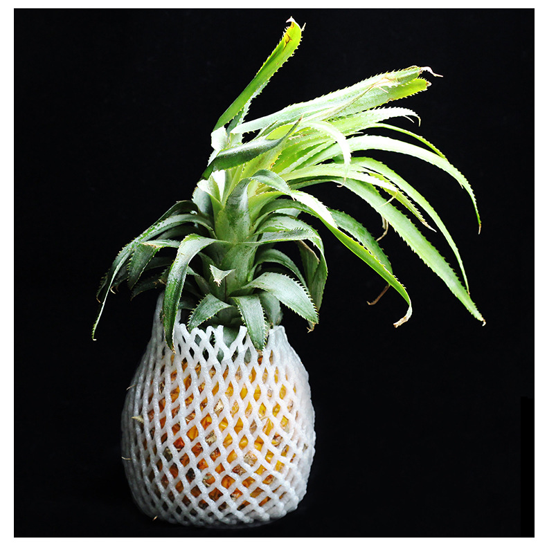 Fruit Plastic Net Cover Apple Pear Egg Macaque Peach Shockproof Foam Packaging Strawberry Thickened Protection Mesh Bag