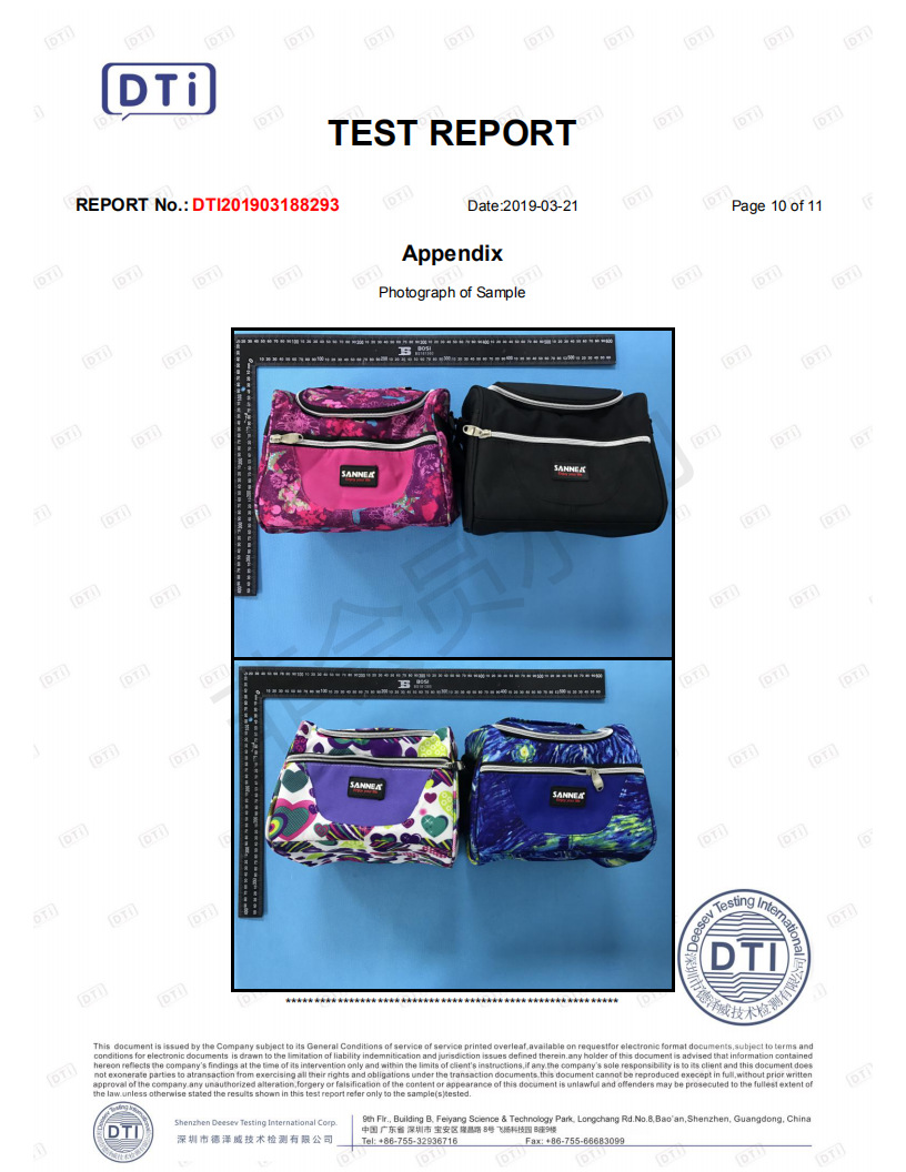 Sanne Lunch Bag in Stock Wholesale Portable Shawl Children's Lunch Bag Outdoor Picnic Insulated Freezer Bag Bags