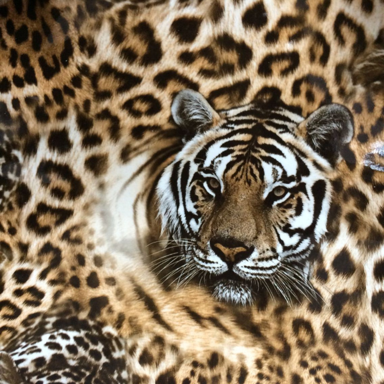 printing tiger shinning pu  artificial leather for bags