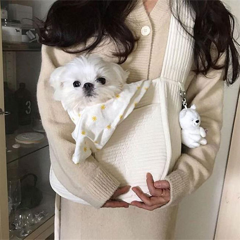Korean Style Handmade Canvas Bag Cute Pet Bag Ulzzang Messenger Bag Women&#039;s Bag Shoulder Bag