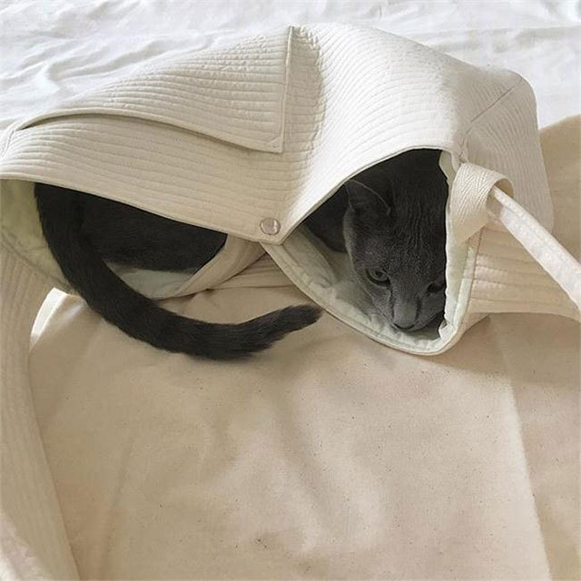 Korean Style Handmade Canvas Bag Cute Pet Bag Ulzzang Messenger Bag Women's Bag Shoulder Bag