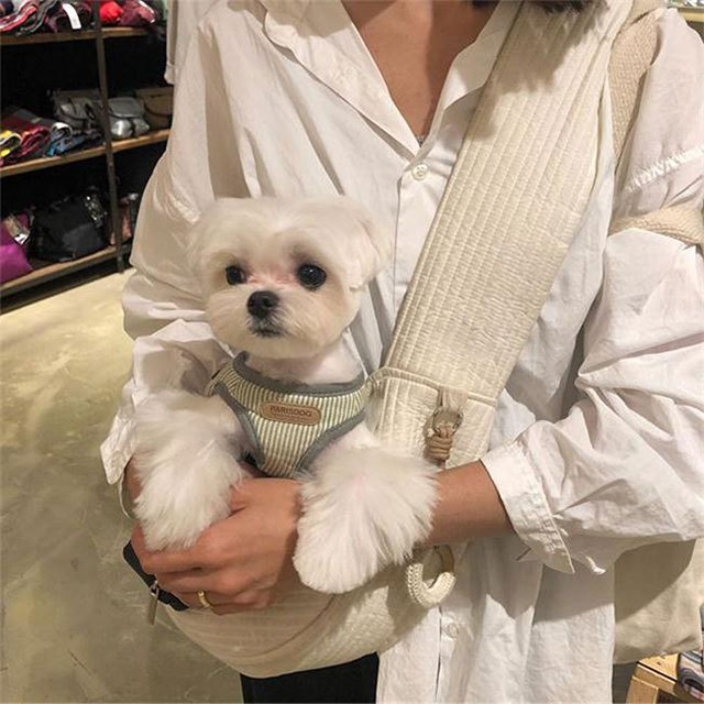 Korean Style Handmade Canvas Bag Cute Pet Bag Ulzzang Messenger Bag Women's Bag Shoulder Bag