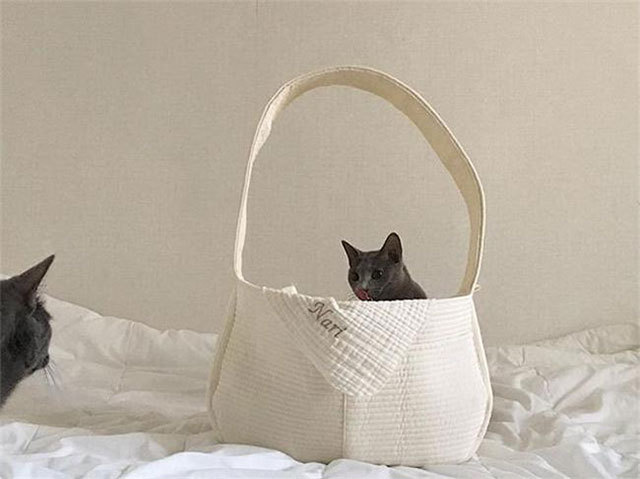 Korean Style Handmade Canvas Bag Cute Pet Bag Ulzzang Messenger Bag Women's Bag Shoulder Bag