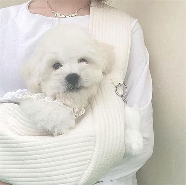 Korean Style Handmade Canvas Bag Cute Pet Bag Ulzzang Messenger Bag Women's Bag Shoulder Bag
