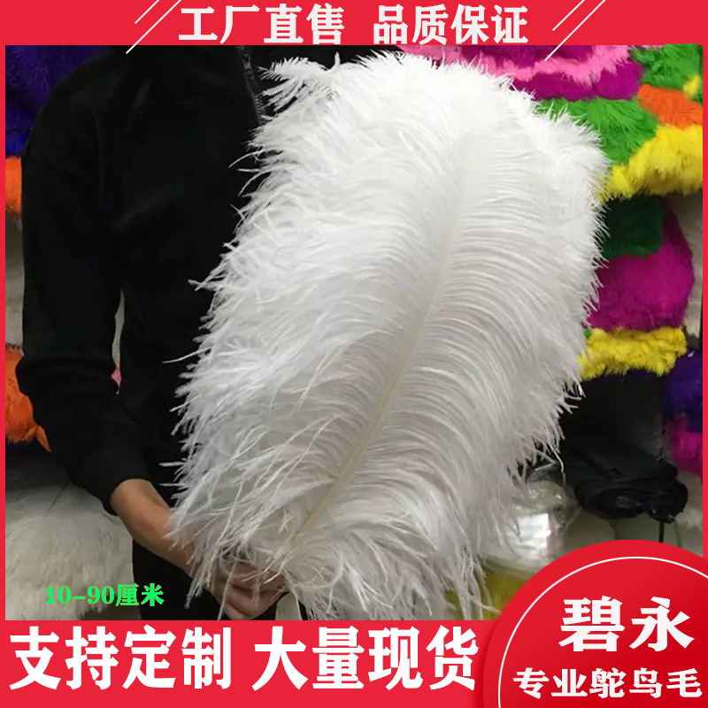 Feather Full Size 10-90cm Full Size Full Color Feather Clothing Accessories Wedding Celebration Decoration Ostrich Hair