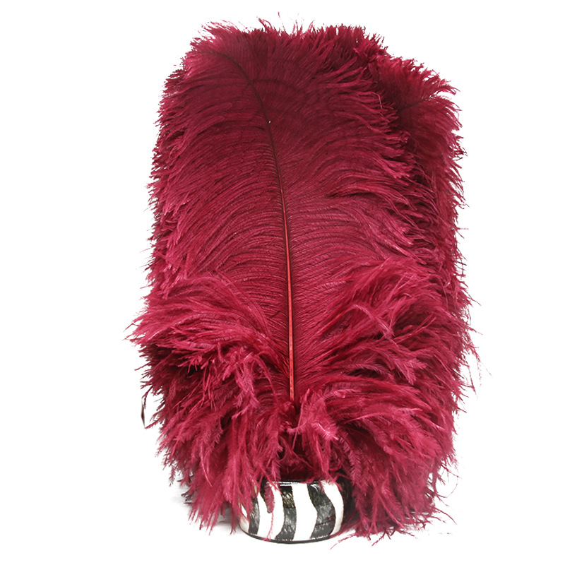 Feather Full Size 10-90cm Full Size Full Color Feather Clothing Accessories Wedding Celebration Decoration Ostrich Hair